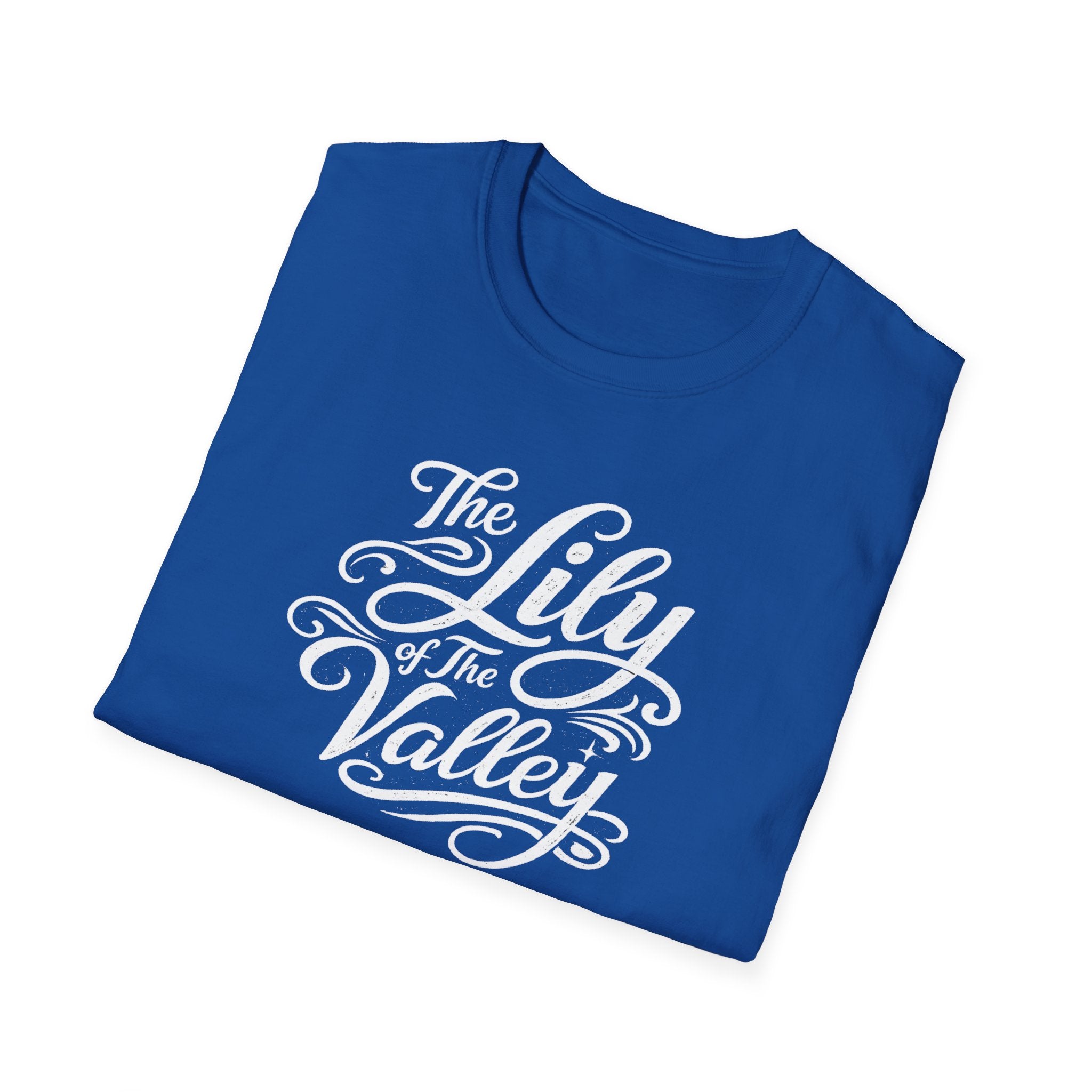 Religious wear T‑Shirt — Faith Based Print
